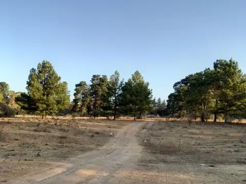 Terreno en Venta de 2467,0 m2