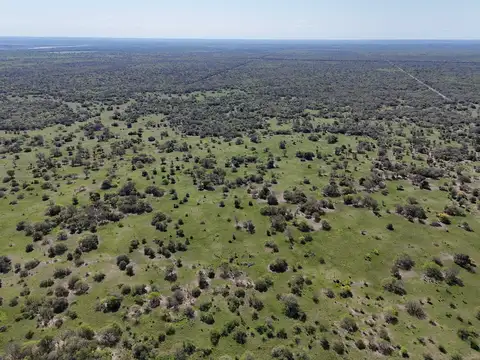 Campo en Alquiler Ganadero