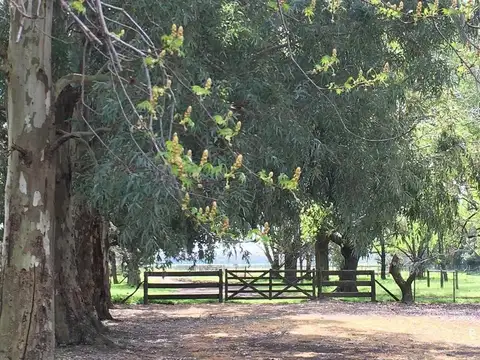 Exclusivas 28 hectáreas con importante casco estilo colonial, Salvador María