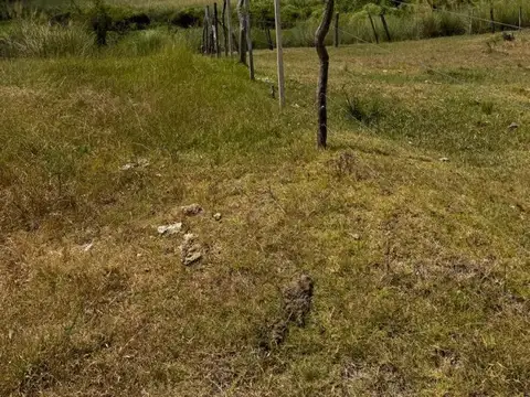 Campo de 77 hec. ganaderas Pueblo Libertador  Corrientes