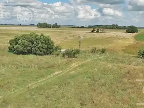 Chascomus 500 Has en Venta. Campo Ganadero, armado, con 20 % de aptitud Agrícola. Para producir y disfrutar