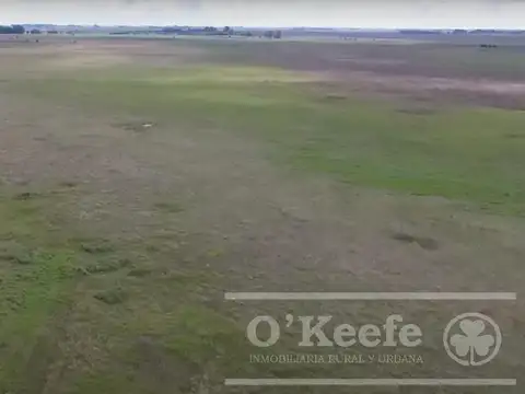 Campo en venta en Chascomus 500 Has.  Mixto, armado. Producir y disfrutar.