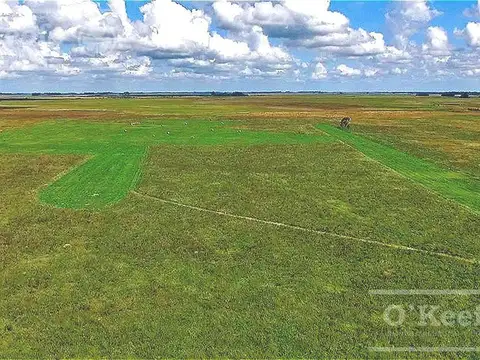 Campo en venta en Chascomus 500 Has.  Mixto, armado. Producir y disfrutar.