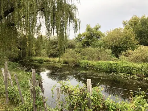 Terreno Campo  en Venta en Villa Dolores, San Javier, Córdoba