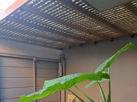 Mariquita Thompson 1682