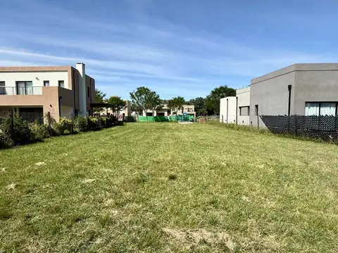 Leandro Niceforo Alem