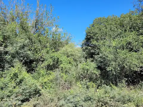 Vendo Lotes De 1ha. (2 Disponibles) En Barrio La Banda, San Marcos Sierras