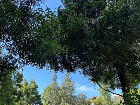 VENTA CASA QUINTA EN LOMAS ALTAS CHASCOMUS