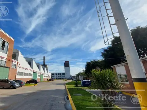 MARTIN RODRIGUEZ  al 100