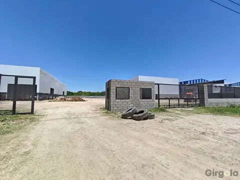 Darwin Passaponti 4600