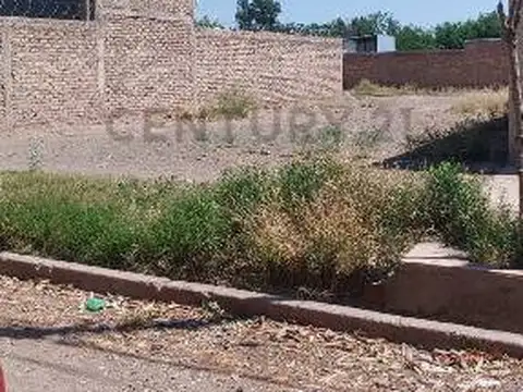 PASCUAL SEGURA 900, Piso 0