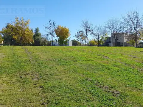 Terreno en Venta 46  mts Fondo