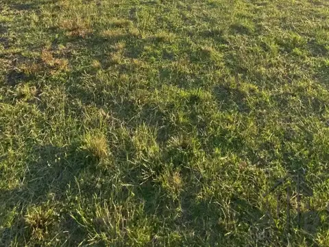 Terreno en Venta 10  mts Fondo