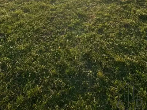 Terreno en Venta de 873,0 m2