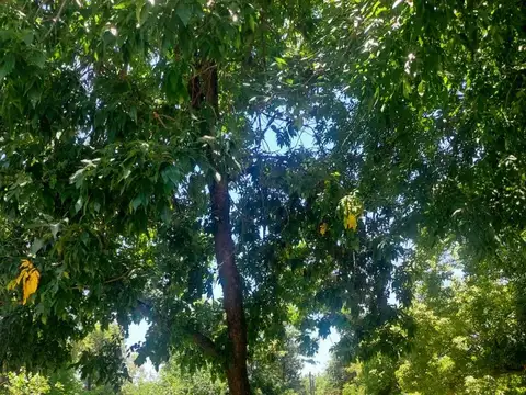 Terreno en Venta de 820,0 m2