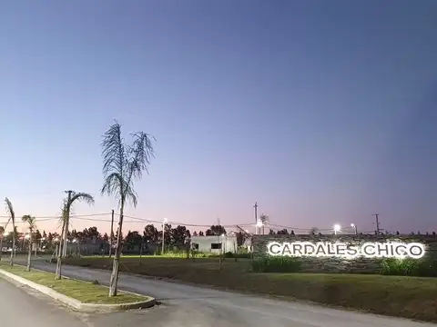 LOTE CARDALES CHICO