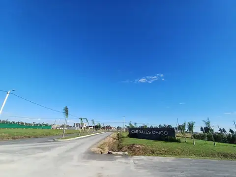 LOTE CARDALES CHICO