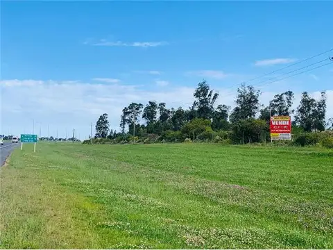 Oportunidad Excepcional