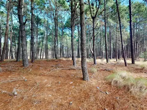 LOTE A LA VENTA VILLAROBLES