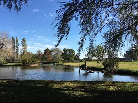 VENTA DE CAMPO 17 HECTAREAS EN MANZANARES PILAR