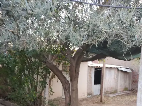 Terreno en Venta de 350,0 m2