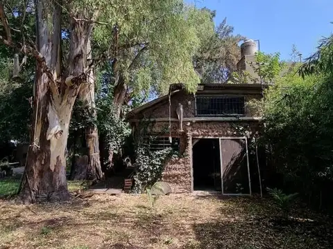 DE LA TORRE, LISANDRO 5800