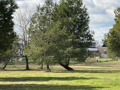 San Sebastian - Area 2 100