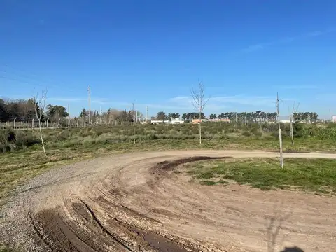 Calle 473 entre 160 y 162 100