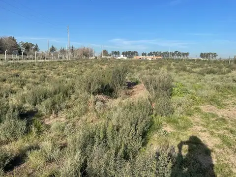 Calle 473 entre 160 y 162 100