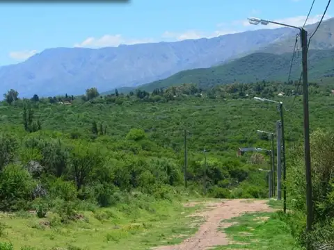 Lote - Venta - Argentina, Cortaderas