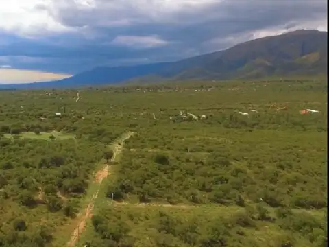 Terreno en Venta 20  mts Frente