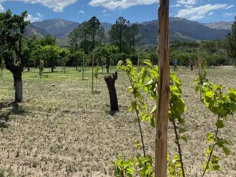Lotes de 1200mts2 en Club de Campo Los Algarrobos (San Luis)