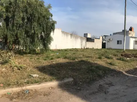 BICENTENARIO y LUIS AMESTOY