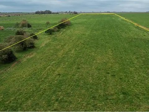 81.353 m².  Coneat de 185, Libertad