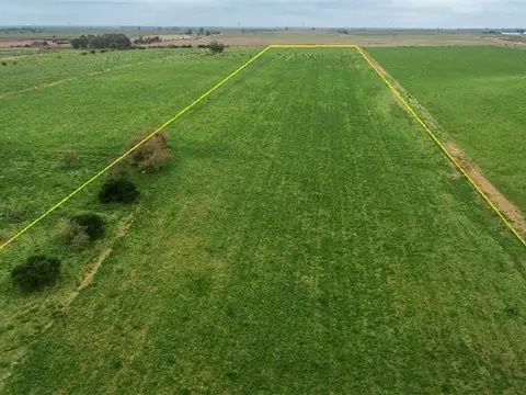 Campo en Venta de 8,10  ha