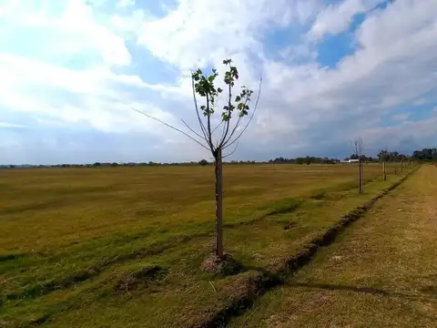 "Estilo Campo" Fracción 70 ha en San Vicente