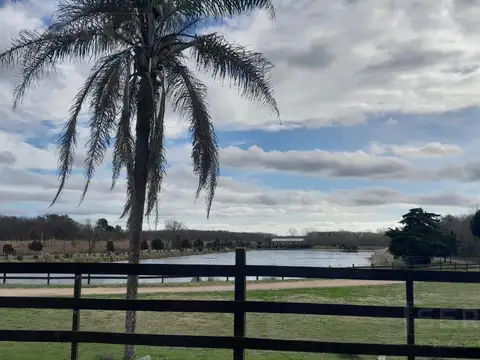 Terreno en Venta de 10000,0 m2