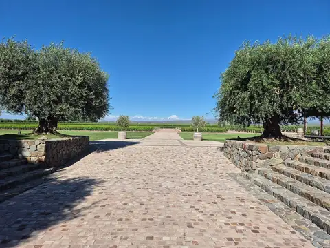 VENTA CAMPO DE 95 HA RUTA N°86