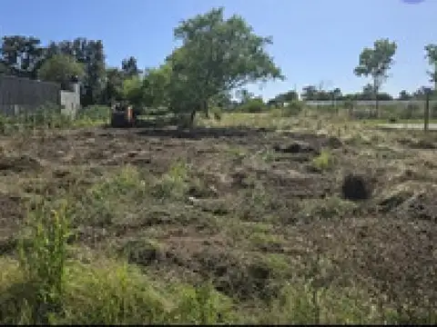 Los Laureles y Congreve