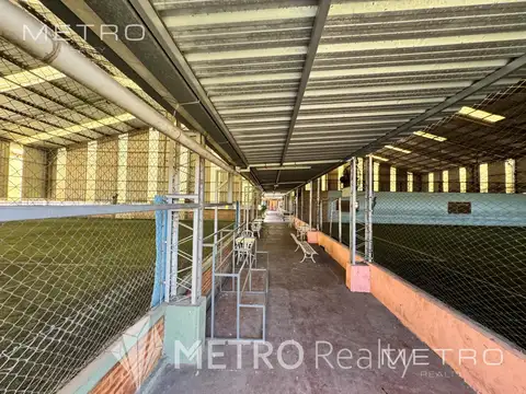 Galpon en Venta en Florencio Varela, USD 1.900.000
