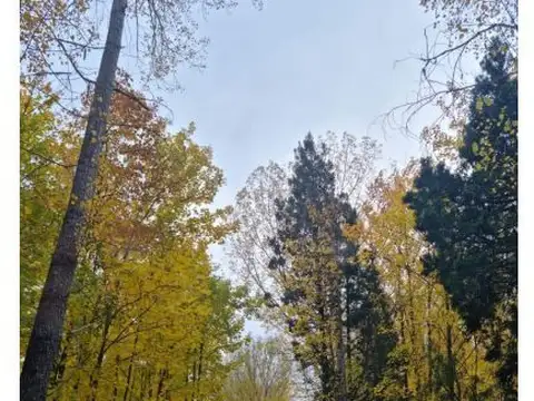 Terreno en Venta de 20000,0 m2