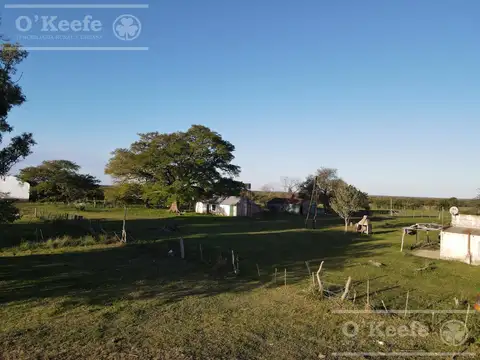 Campo en venta de 526 has mixto,   Entre Rios