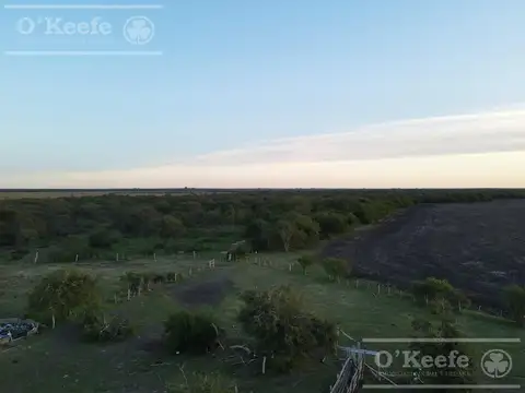 Campo en venta de 526 has mixto,   Entre Rios
