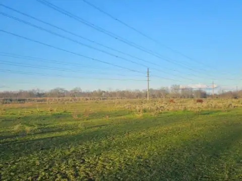 Campo en venta - 4 Hectáreas - Vicente Casares