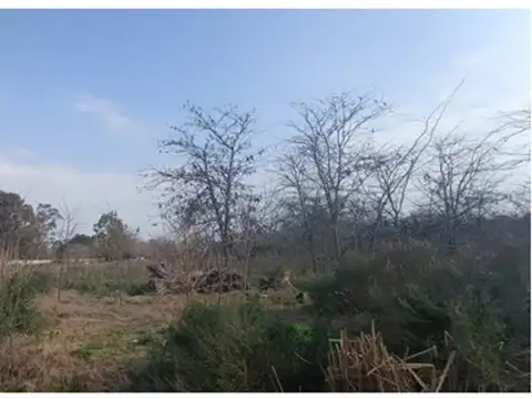 Fray Luis Beltran 100