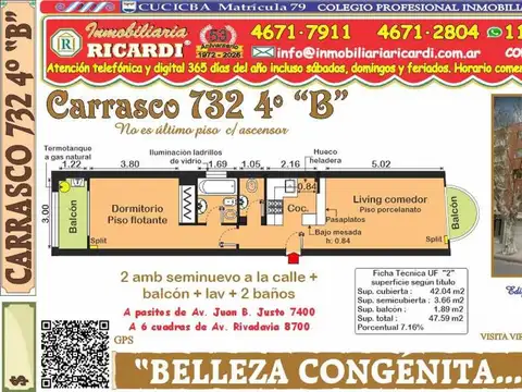 BELLEZA CONGENITA. 2 amb PREMIUM