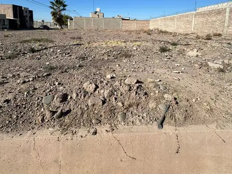 Terreno en Venta de 250,0 m2