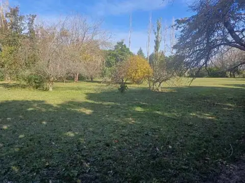 VENTA CAMPO 2,6 HECTAREAS CORTINEZ
