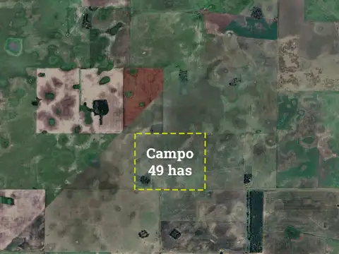 Campo en venta en Gral. Belgrano