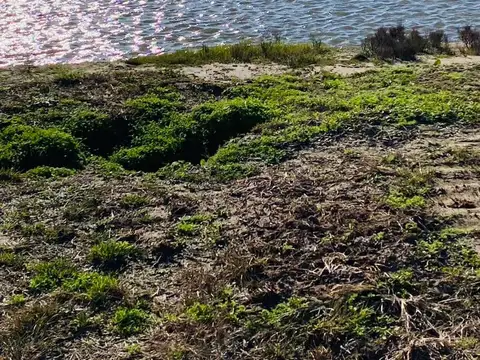 Puertos del Lago - Riberas